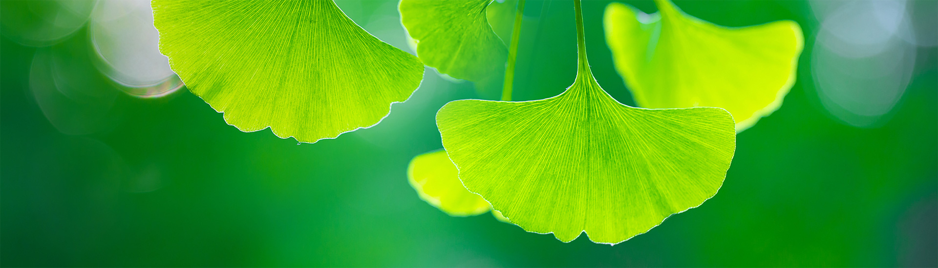 关于云顶集团3118